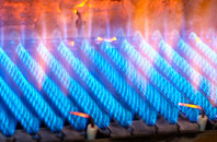 Llanfair Caereinion gas fired boilers